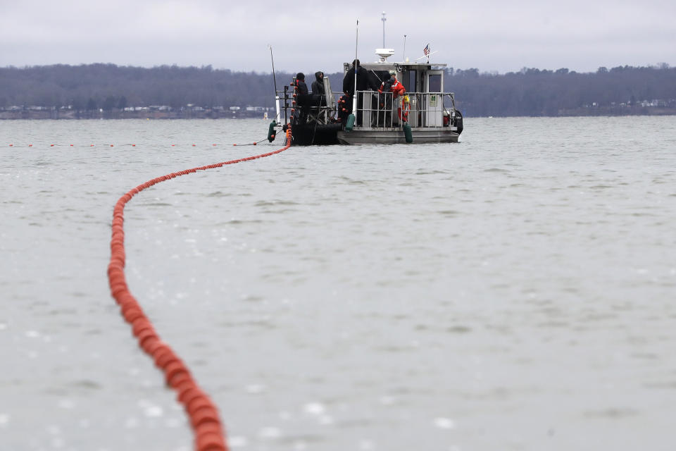 In this Feb. 5, 2020, photo, nets are put into Smith Bay on Kentucky Lake near Golden Pond, Ky., during a roundup of Asian carp. The roundup is part of a 15-year battle to halt the advance of the invasive Asian carp, which threaten to upend aquatic ecosystems, starve out native fish and wipe out endangered mussel and snail populations along the Mississippi River and dozens of tributaries. (AP Photo/Mark Humphrey)