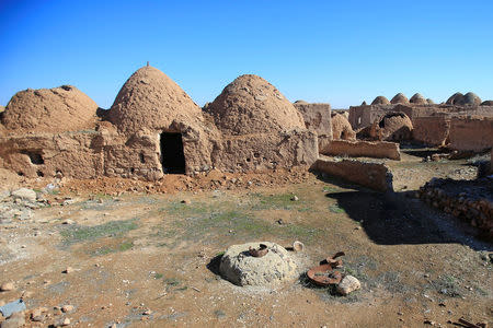 Domed mud houses are pictured in the abandoned village of Rasm al-Nafl, southeast of Aleppo, Syria January 29, 2017. REUTERS/Ali Hashisho