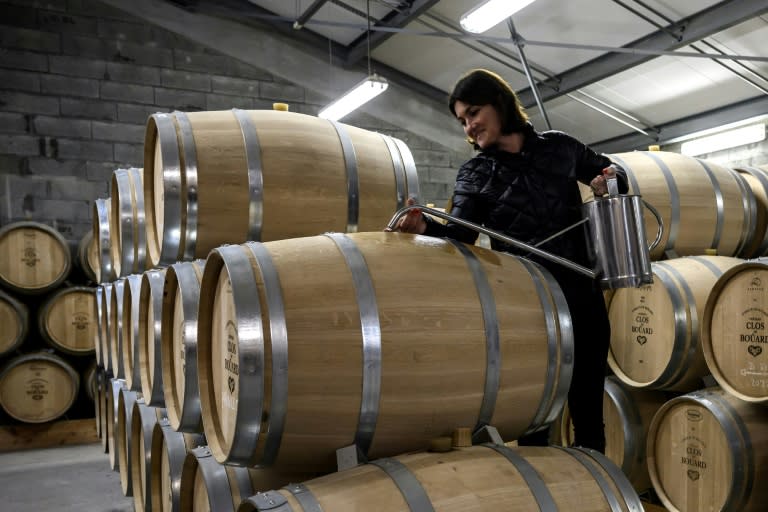 Coralie de Bouard, propriétaire du Château Clos de Bouärs, vérifie le niveau des fûts de son vin "Prince Oscar" qui passera par un processus de désalcoolisation, à Montagne, près de Saint-Emilion, le 18 janvier 2024 en Gironde (Philippe LOPEZ)