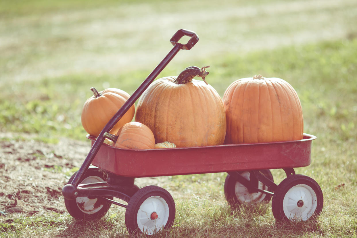 A farm worker’s “extremely poor choice of words” was branded racism by representatives at a North Carolina elementary school. (Photo: Getty Images)