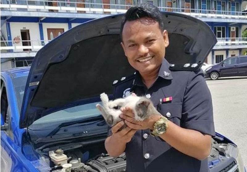 Inspector Syukri holds up 'Suprima' the kitten, that was saved after being found trapped under the hood of his car. — Picture via Facebook/@PolisDirajaMalaysia