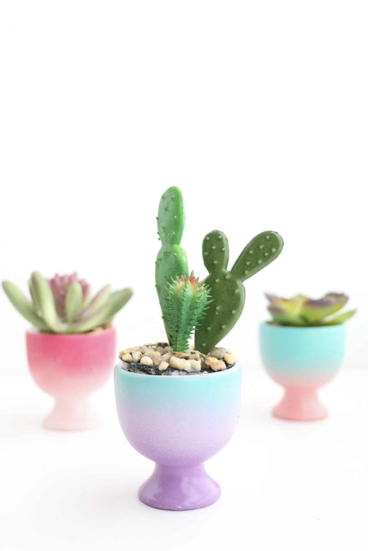 Gradient Egg Cup Planters