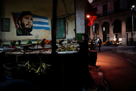 A boy picks up fruits beside an image depicting late Cuban President Fidel Castro in a market in Havana, Cuba, March 11, 2019. Picture taken March 11, 2019. REUTERS/Alexandre Meneghini