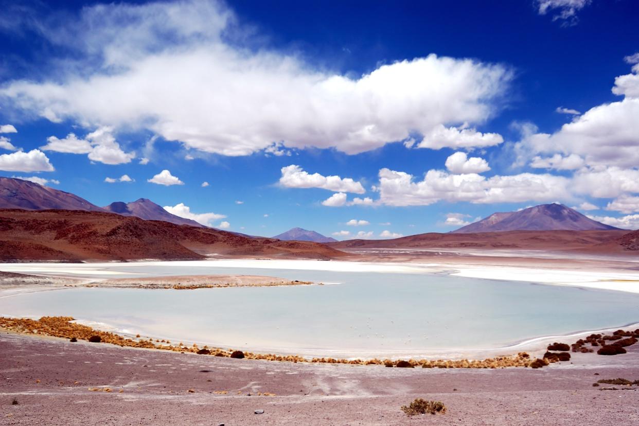 Laguna Colorada in Bolivia