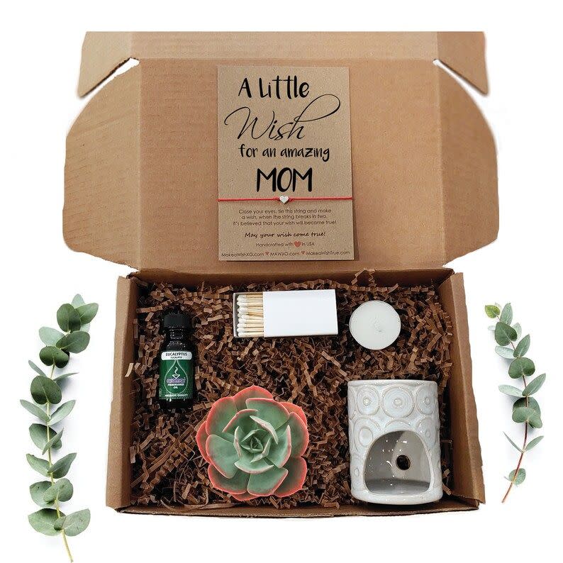 8) Succulent Gift Box