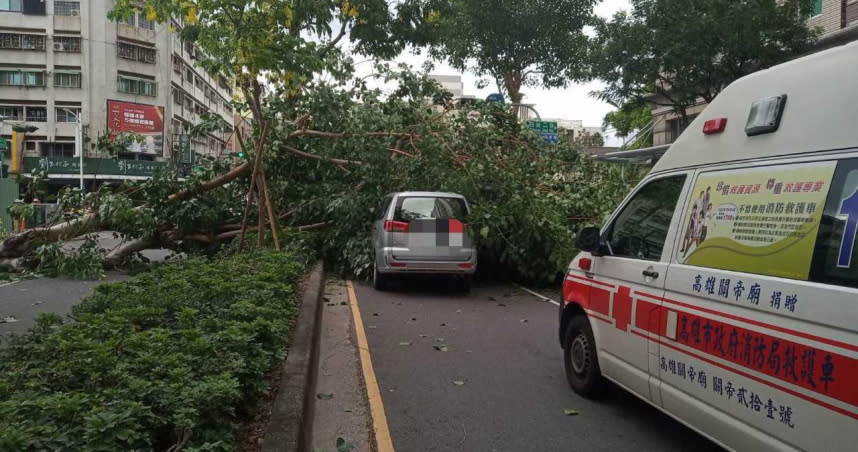 高雄路樹倒塌，導致一輛行經車子遭到倒塌的路樹壓凹板金，所幸駕駛並無大礙。（圖／警方提供）