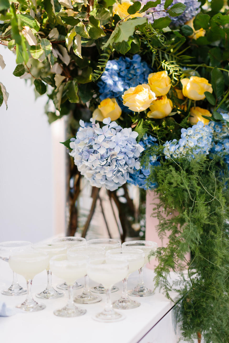 classic blue hydrangeas