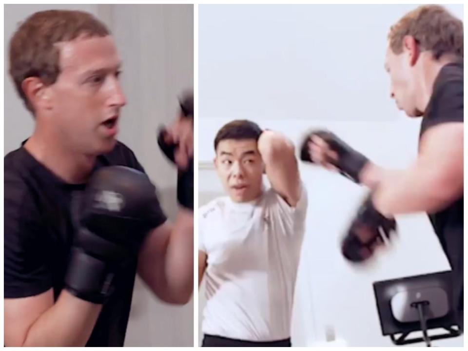 Mark Zuckerberg training MMA.