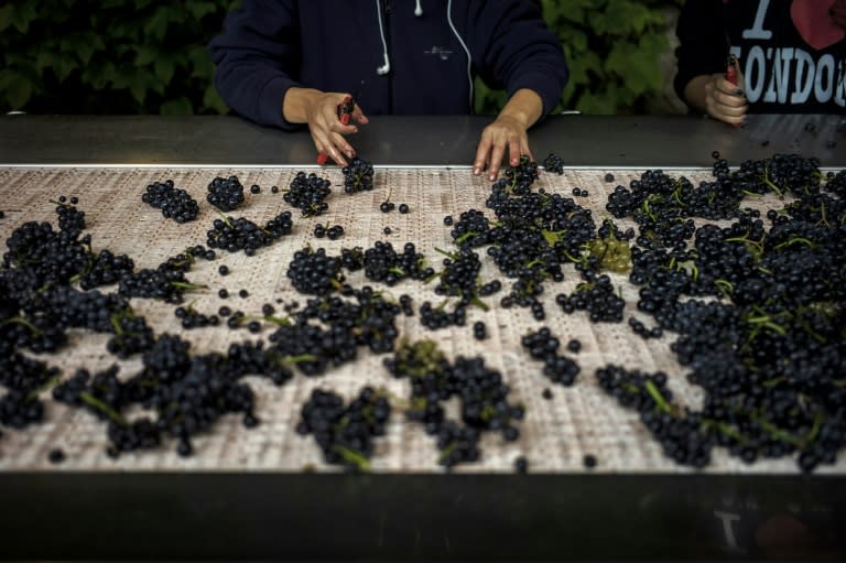 In Burgundy, UNESCO recognised the uniqueness of the vineyards of the Cote de Nuits and the Cote de Beaune south of the city Dijon which produce some of the finest red wines in the world made from pinot noir and chardonnay grapes