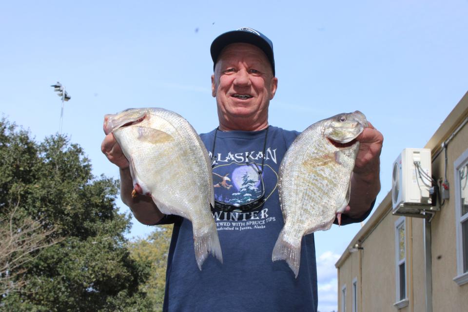 Dave Ressa of Los Gatos, the first-place winner of the men’s barred perch division of the San Crab Classic in Santa Cruz, holds up the two largest perch that he caught in Monterey Bay on March 9, 2024.