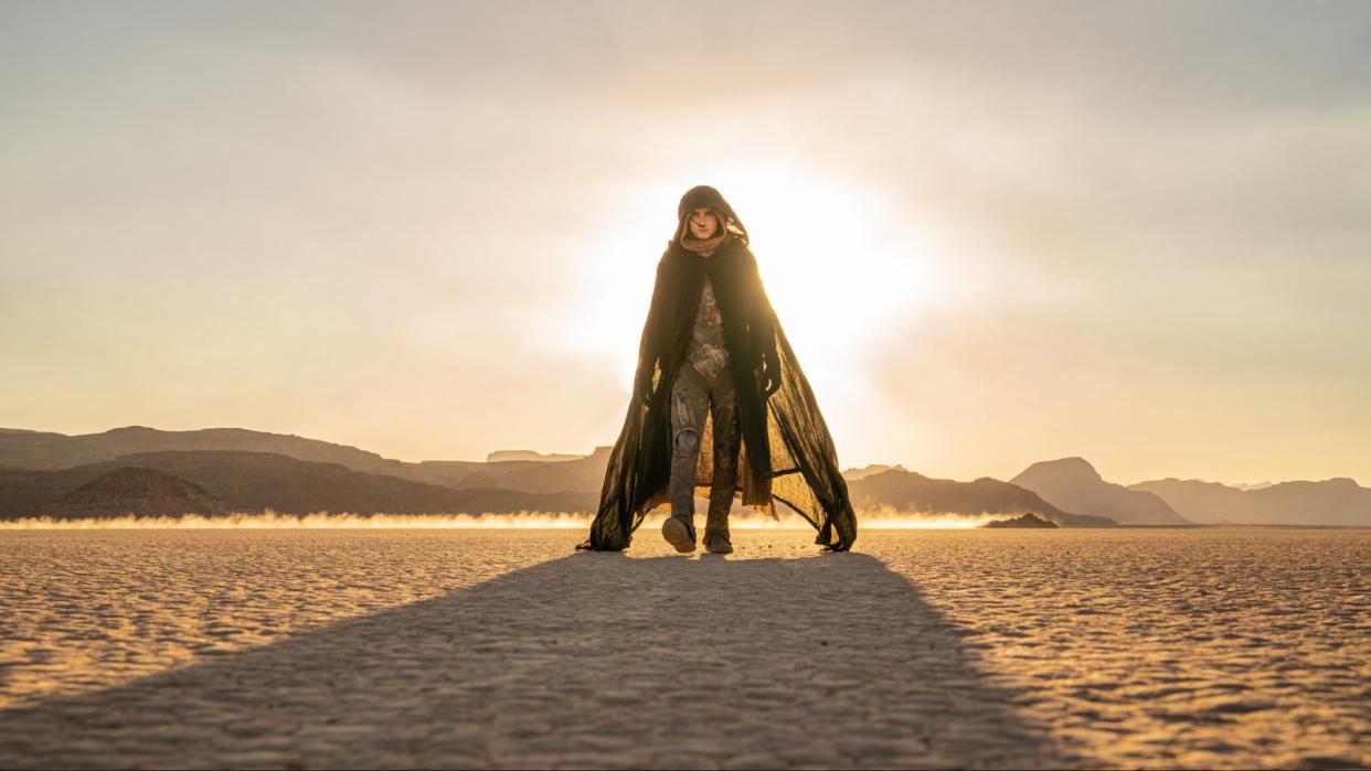  Timothée Chalamet in Dune 2. 
