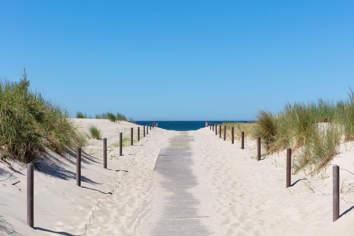 A pathway down to the Baltic sea (Alamy Stock Photo)