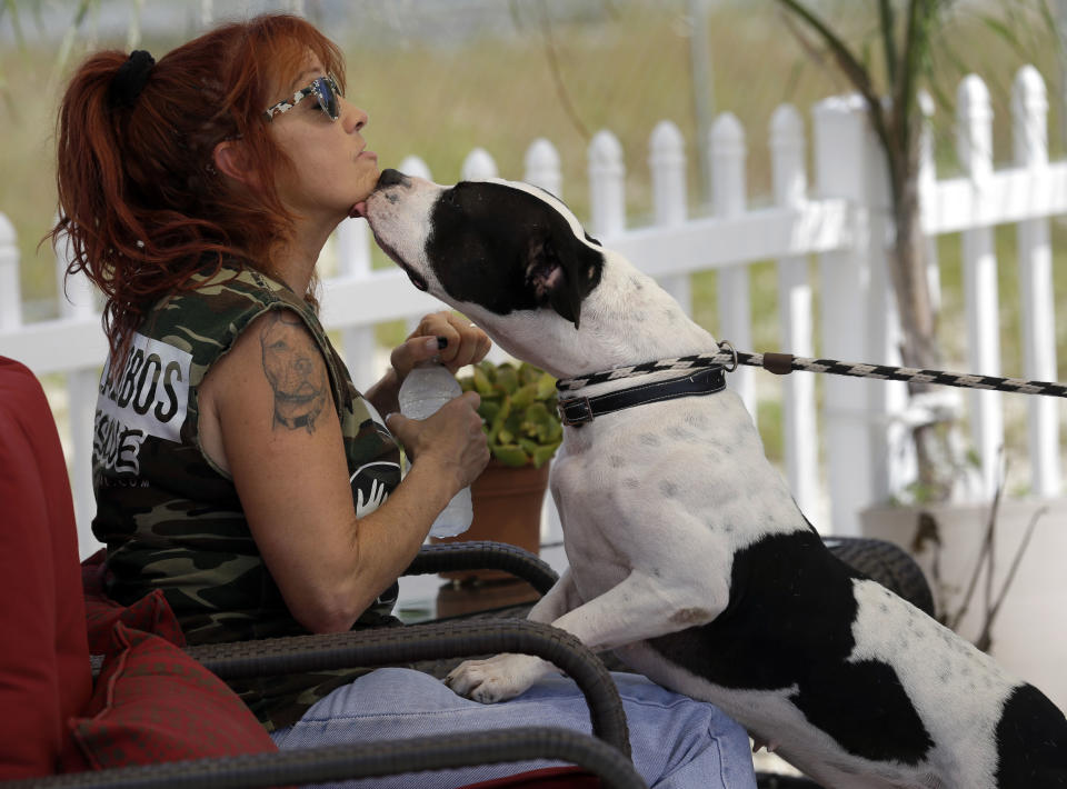 In this Oct. 10, 2013, photo, Tia Maria Torres, star of Animal Planet’s “Pit Bulls and Parolees,” is licked by a pit bull during the filming of an episode of the show's fifth season in New Orleans. Torres, who runs the nation’s largest pit bull rescue center and has long paired abused and abandoned dogs with the parolees who care for them, has moved her long-running reality TV series from southern California to New Orleans, where hurricanes and overbreeding have left many pit bulls abandoned or abused. (AP Photo/Gerald Herbert)