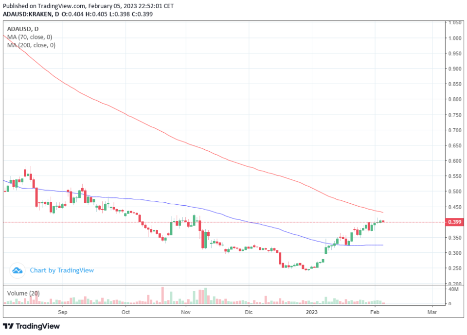 Las ballenas de Cardano impulsaron el 65% del rally