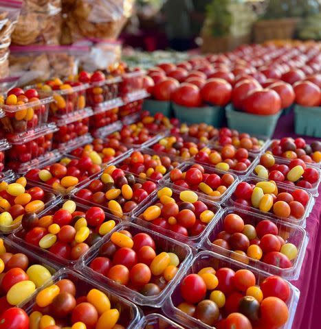 <p>West Palm Beach Green Market </p>