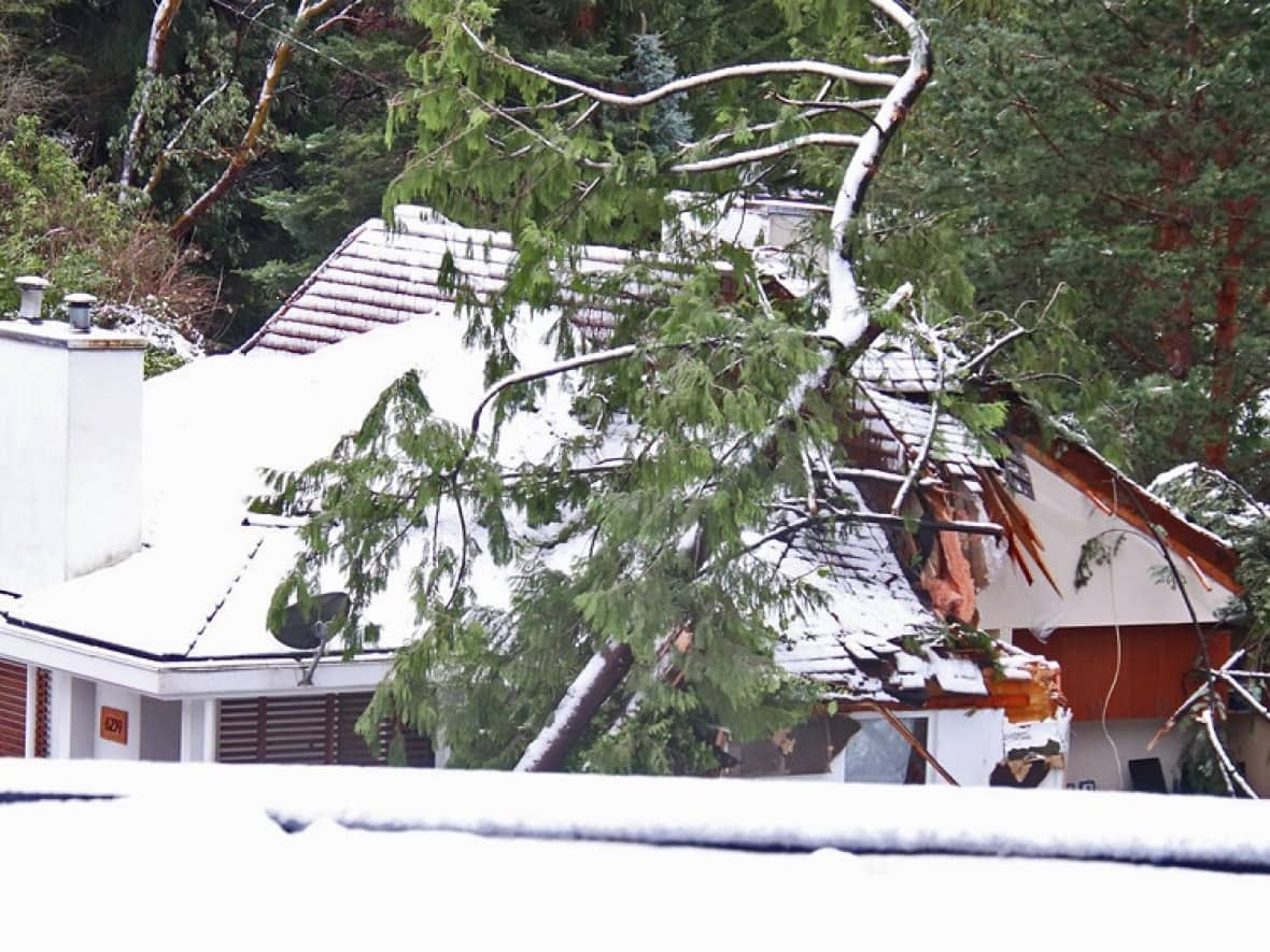 A tree fell on home and killed two people during the early hours of Sunday morning.  (Shane MacKichan - image credit)