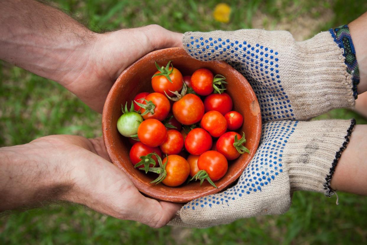 Suntec Singapore is organising Sprout Farm-to-People Festival, the largest farmers’ market in Singapore. (PHOTO: Sprout)