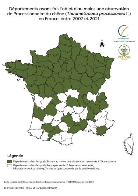 chenille processionnaire 2 Crédit : INRAE / DSF / ARS / Réseau FREDON