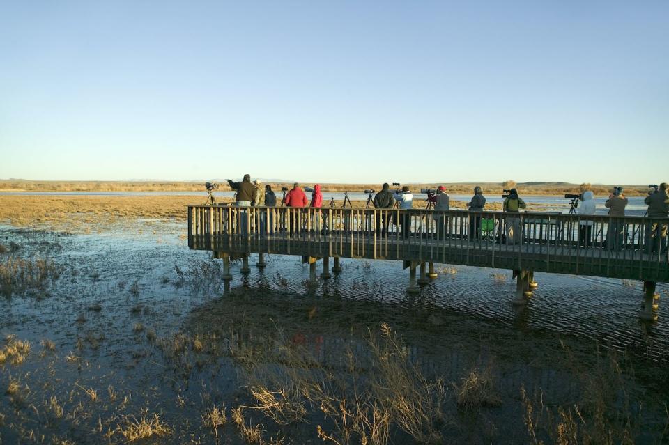 Birdwatchers at the Bosque del Apache National Wildlife Refuge in New Mexico. <a href="https://www.gettyimages.com/detail/news-photo/nature-and-bird-photographers-photograph-birds-at-sunrise-news-photo/144084510" rel="nofollow noopener" target="_blank" data-ylk="slk:Joe Sohm/Visions of America/Universal Images Group via Getty Images;elm:context_link;itc:0;sec:content-canvas" class="link ">Joe Sohm/Visions of America/Universal Images Group via Getty Images</a>