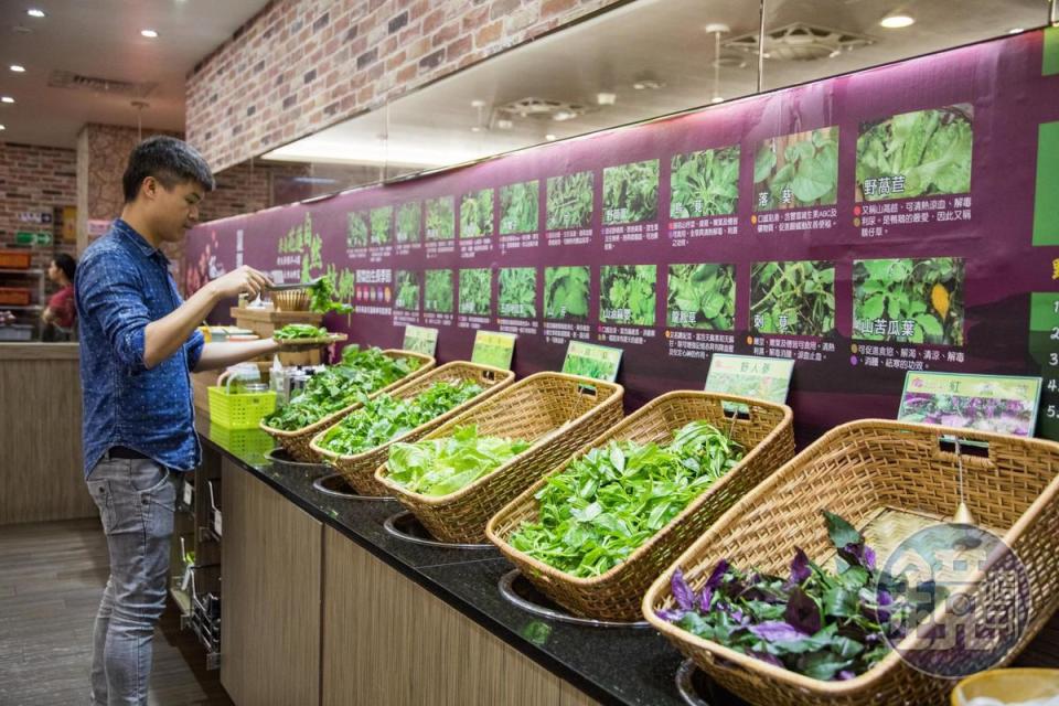 自助野菜區常態供應5種花蓮直送蔬菜，牆上還有圖鑑，讓人邊吃邊長知識。