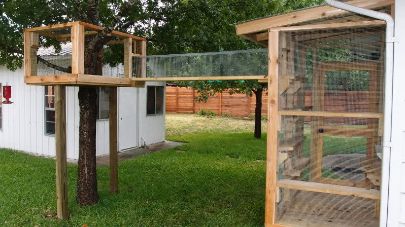 This catio includes a catwalk that connects the main house to a treehouse.