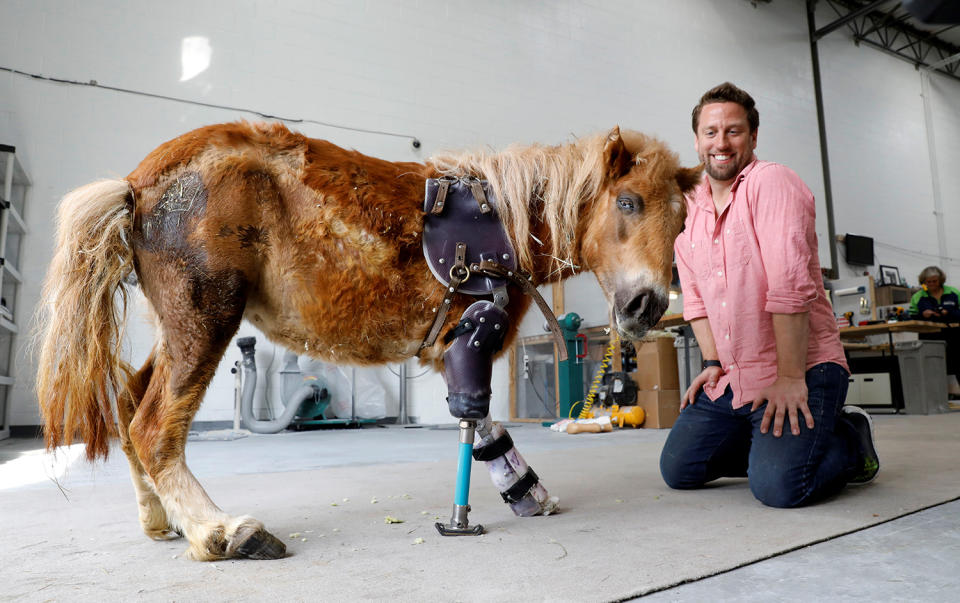 Derrick Campana and three-legged mini horse with prosthetic leg