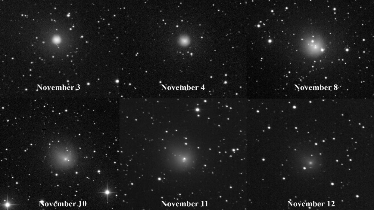  A six-panel view of a comet showing it getting brighter and dimmer over time. the dates november 3, november 4, november 8, november 10, november 11 and november 12 are underneath the six panels. 