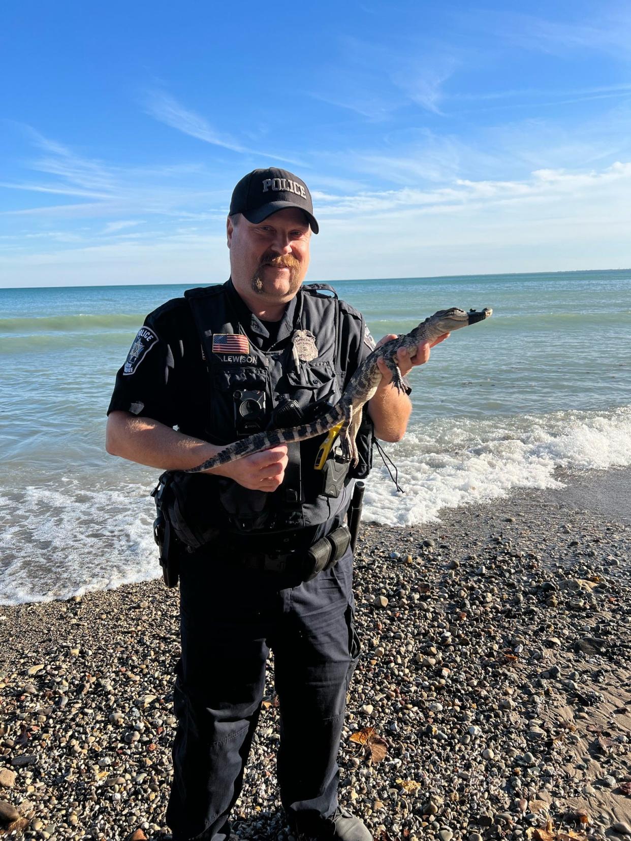South Milwaukee Police Officer Tim Lewison holds the alligator he caught on the beach in Grant Park on Nov. 6.