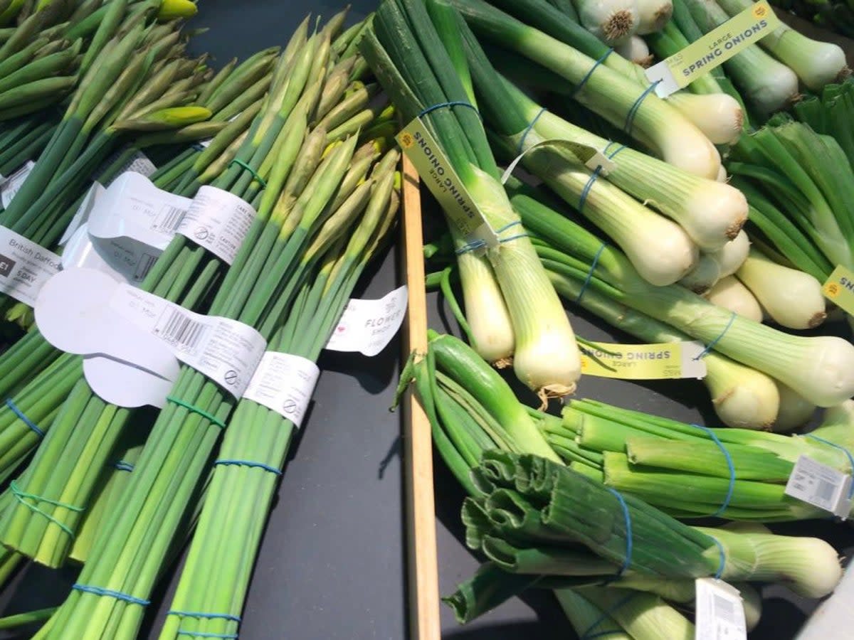 Botanist James Wong has warned that M&S must train staff not to display daffodils alongside vegetables in-store (Twitter/James Wong)