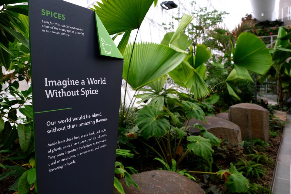 The Crystal Bridge Conservatory is doing last minute preparation to get ready for the opening, November 18, “A Conservatory Reimagined.”  Thursday, November 10, 2022.