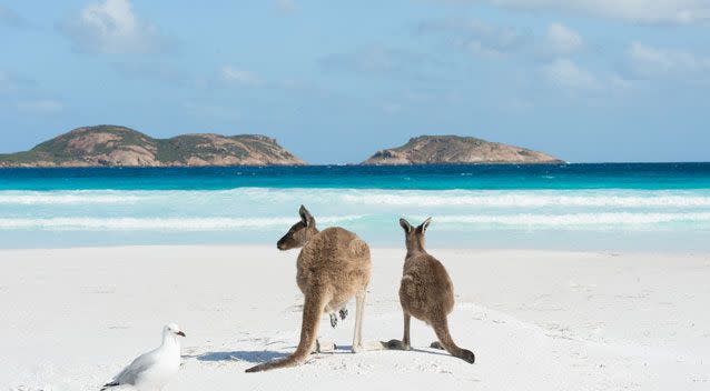 Lucky Bay, on the south coast of Western Australia also made the list at number 18. Photo: Getty