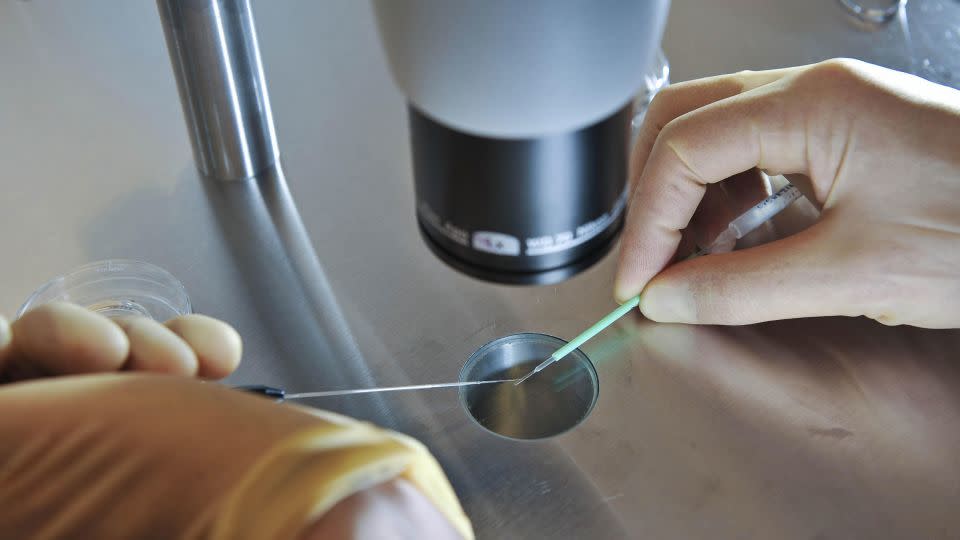 In this 2008 photo, embryos are placed into a CryoLeaf ready for instant freezing using a vitrification process for IVF. - Ben Birchall/PA Wire/AP