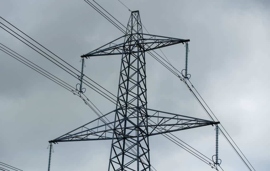 A view of an electricity pylon (Peter Byrne/PA) (PA Wire)