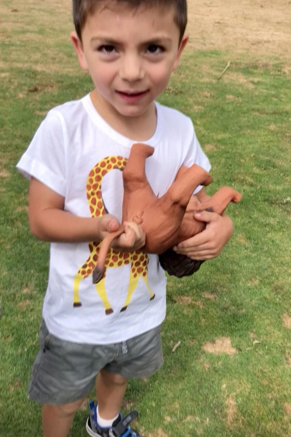 Tanya Husnu’s son Hakan picked the toy lion to take to the zoo. Source: Tanya Husnu/Caters