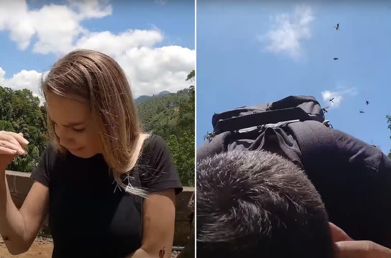 La pareja filmaba una excusión en su viaja a Sri Lanka cuando los atacaron las abejas