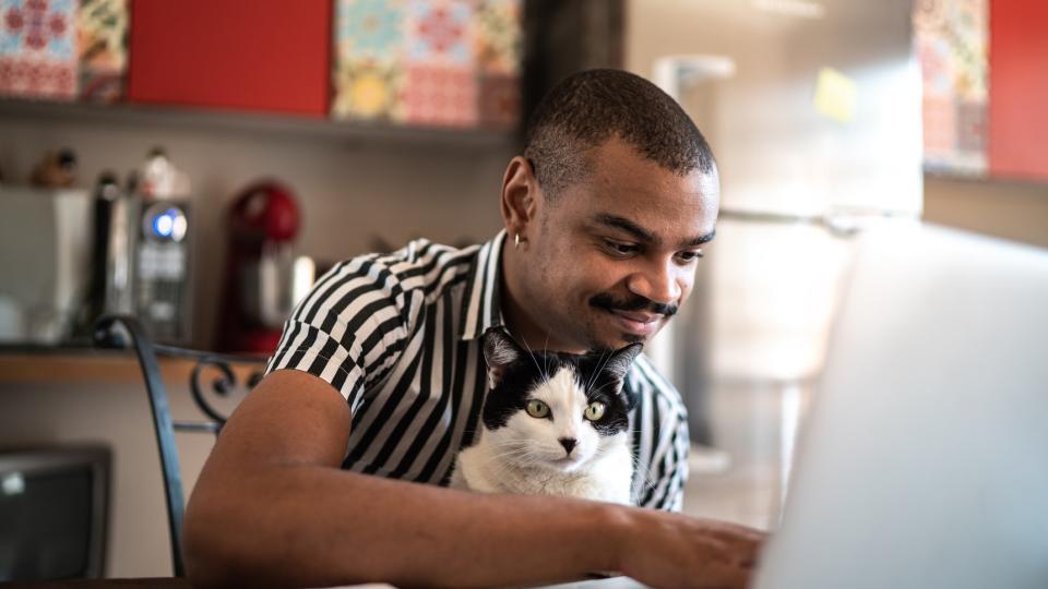 a smiling man researches on a laptop while holding his cat