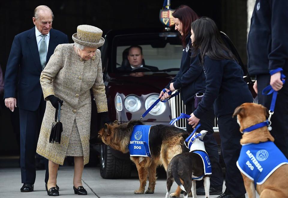 <p>Queen Elizabeth and Prince Philip greet dogs the at the opening of the new Mary Tealby dog kennels at Battersea Dogs and Cats Home in London.</p>