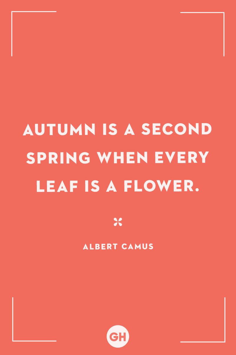 <p>Autumn is a second spring when every leaf is a flower.</p>