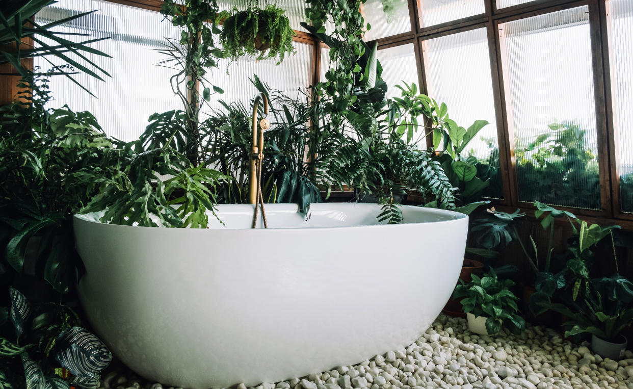  white bathtub surrounded by house-plants 