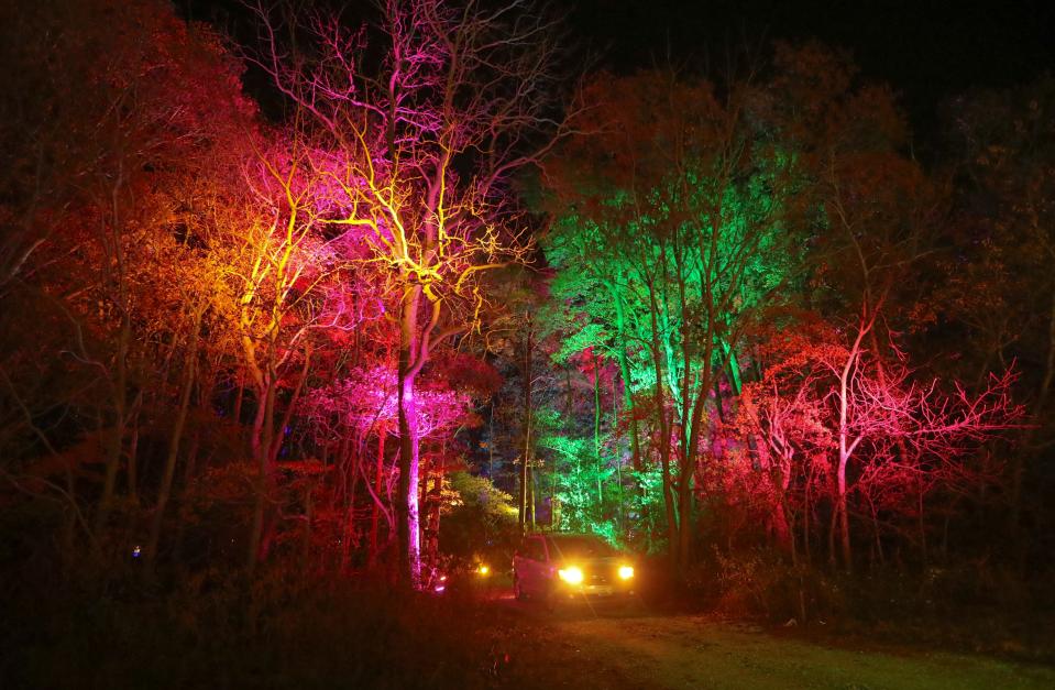 A car emerges from the "Fantasy Forest" in the drive-thru 'Winter WonderFest: Field of Christmas Dreams' display at Hudson Fields.