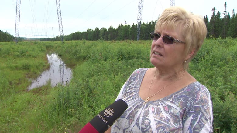 NB Power apologizes over handling of herbicide spraying