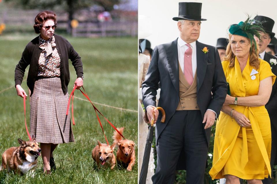 Queen Elizabeth II with some of her corgis walking the Cross Country course during the second day of the Windsor Horse Trials. (Photo by PA Images via Getty Images); ASCOT, ENGLAND - JUNE 21: Prince Andrew, Duke of York and Sarah Ferguson, Duchess of York on day four of Royal Ascot at Ascot Racecourse on June 21, 2019 in Ascot, England. (Photo by Mark Cuthbert/UK Press via Getty Images)