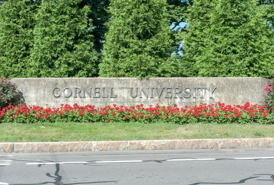 Cornell University (July 2013)