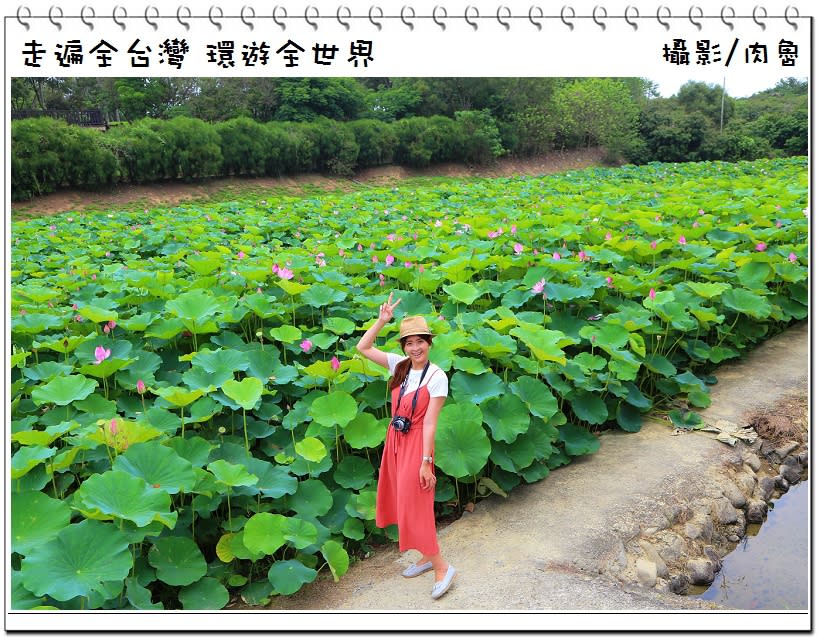 白河蓮花公園