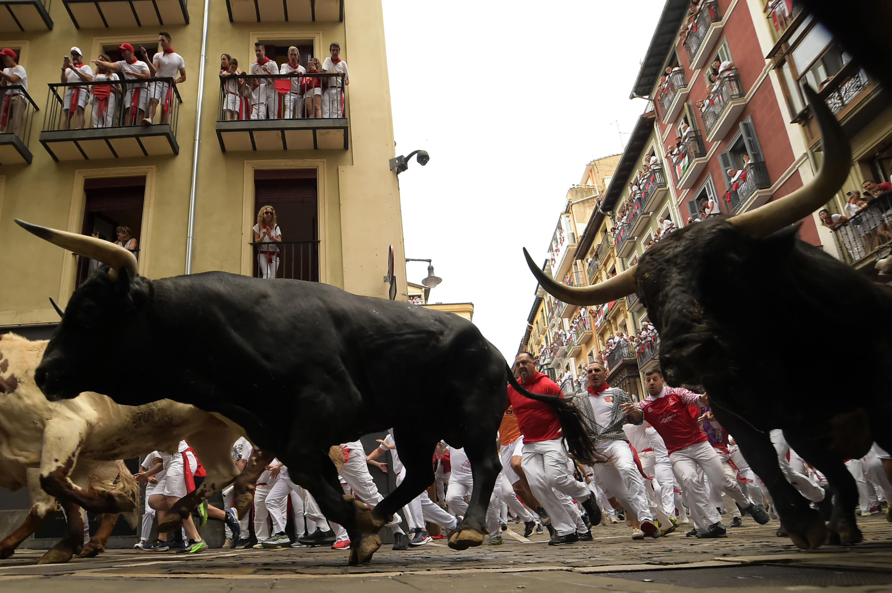 Bulls and festivalgoers can be seen turning a corner on a narrow street during the Pamplona bull run as spectators watch from the balconies above.