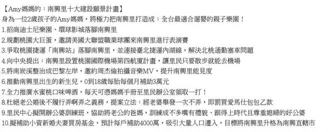 九合一大選倒數剩不到2周，各候選人的政見已可至中選會選舉公報查詢，蘆竹區南興里有名候選人洪嘉璘提出10點奇耙政見。（圖取自中選會網站／陳夢茹桃園傳真）