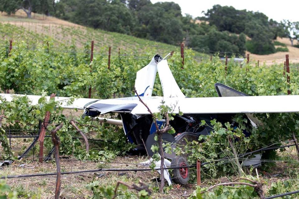 A small plane crashed in the vineyard beside the private airport at Halter Ranch winery in the hills west of Paso Robles, California, on Saturday, June 8, 2024.