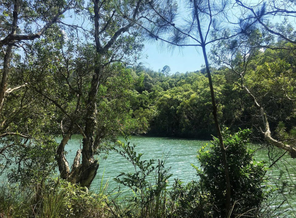 鄉郊丹桂村 景色逐漸開揚 (all_of_me_hikinglife @ig)