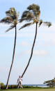 HONOLULU, HI - JANUARY 12: Bud Cauley plays a shot on the 16th hole during the first round of the Sony Open at Waialae Country Club on January 12, 2012 in Honolulu, Hawaii. (Photo by Sam Greenwood/Getty Images)