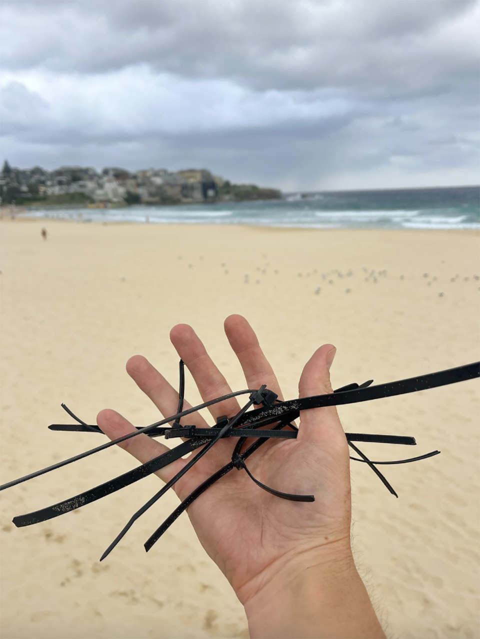 The local man standing on Bondi Beach holding a bundle of black cable ties in his hand.  